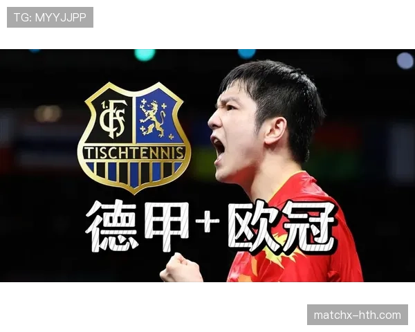 德甲德意志银行公园迎世界杯热潮，球迷期待球队稳健发挥